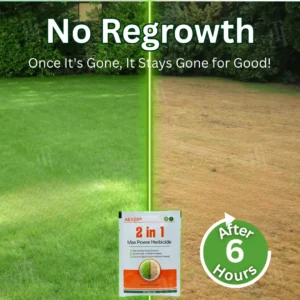 🏆Official Store | Limited Edition |AEXZR® 2 in 1 Max Power Herbicide