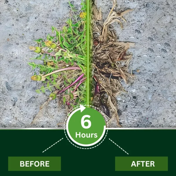 🏆Official Store | Limited Edition |AEXZR® 2 in 1 Max Power Herbicide