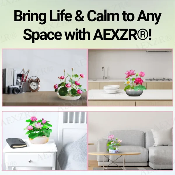 AEXZR® Sacred Bonsai Lotus Seeds