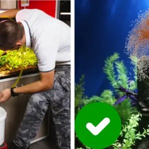 AEXZR® Aquariums Aqua-Guardian Blend