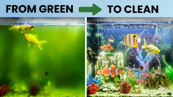 AEXZR® Aquariums Aqua-Guardian Blend