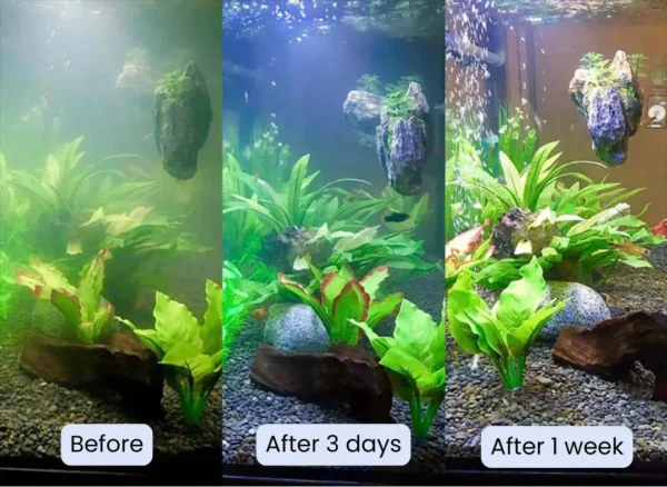 AEXZR® Aquariums Aqua-Guardian Blend