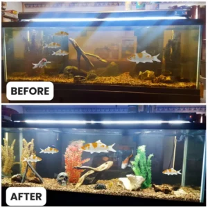 AEXZR® Aquariums Aqua-Guardian Blend