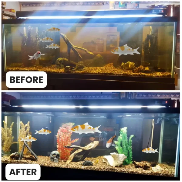 AEXZR® Aquariums Aqua-Guardian Blend