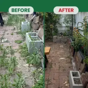 LIMETOW® Weed Destruction Powder