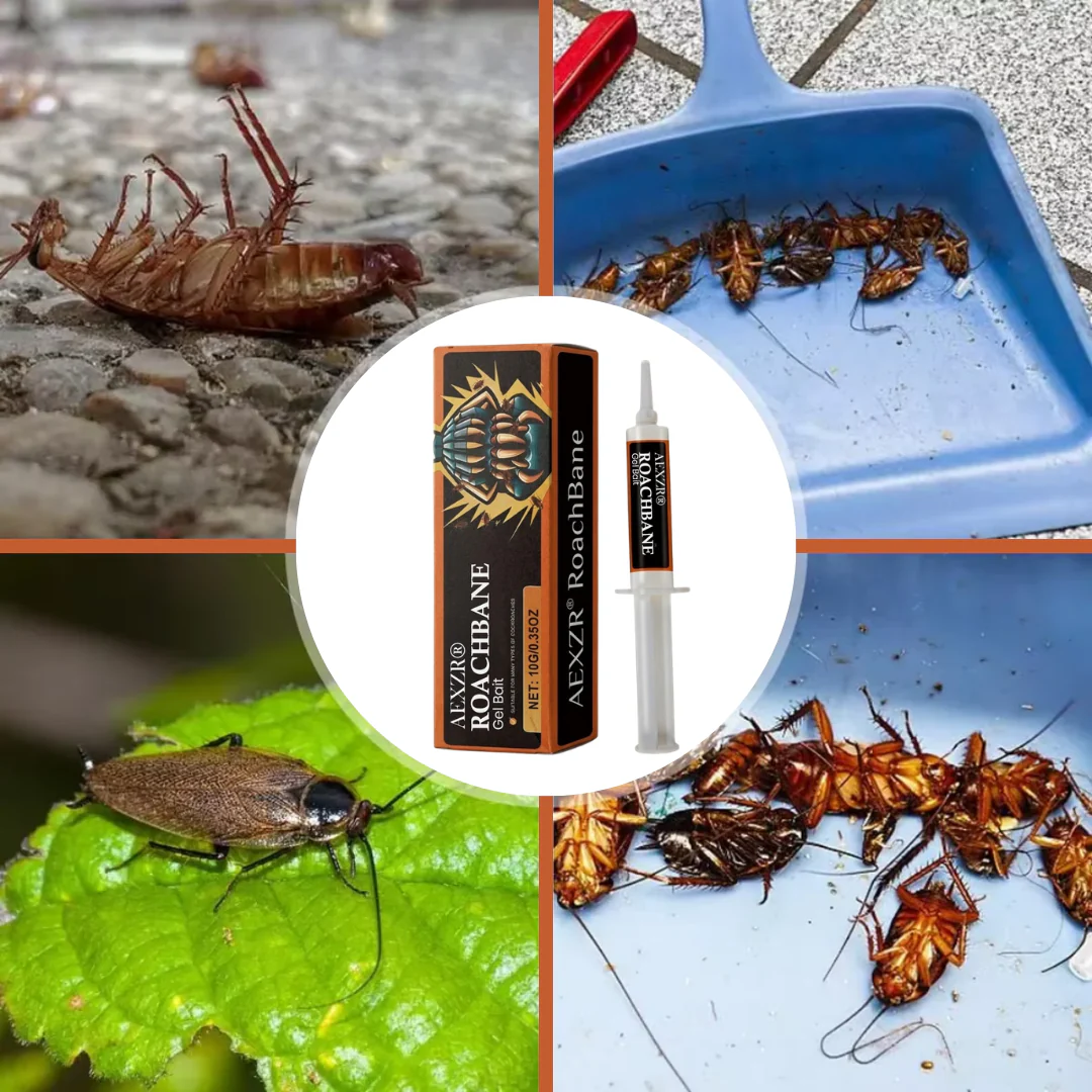 AEXZR® RoachBane Gel Bait 2026 | Fast Roach Control