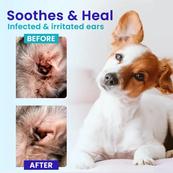 RZXEA™ Pet EarPro Drops FM+